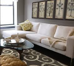 Modern Botanical Art Collection