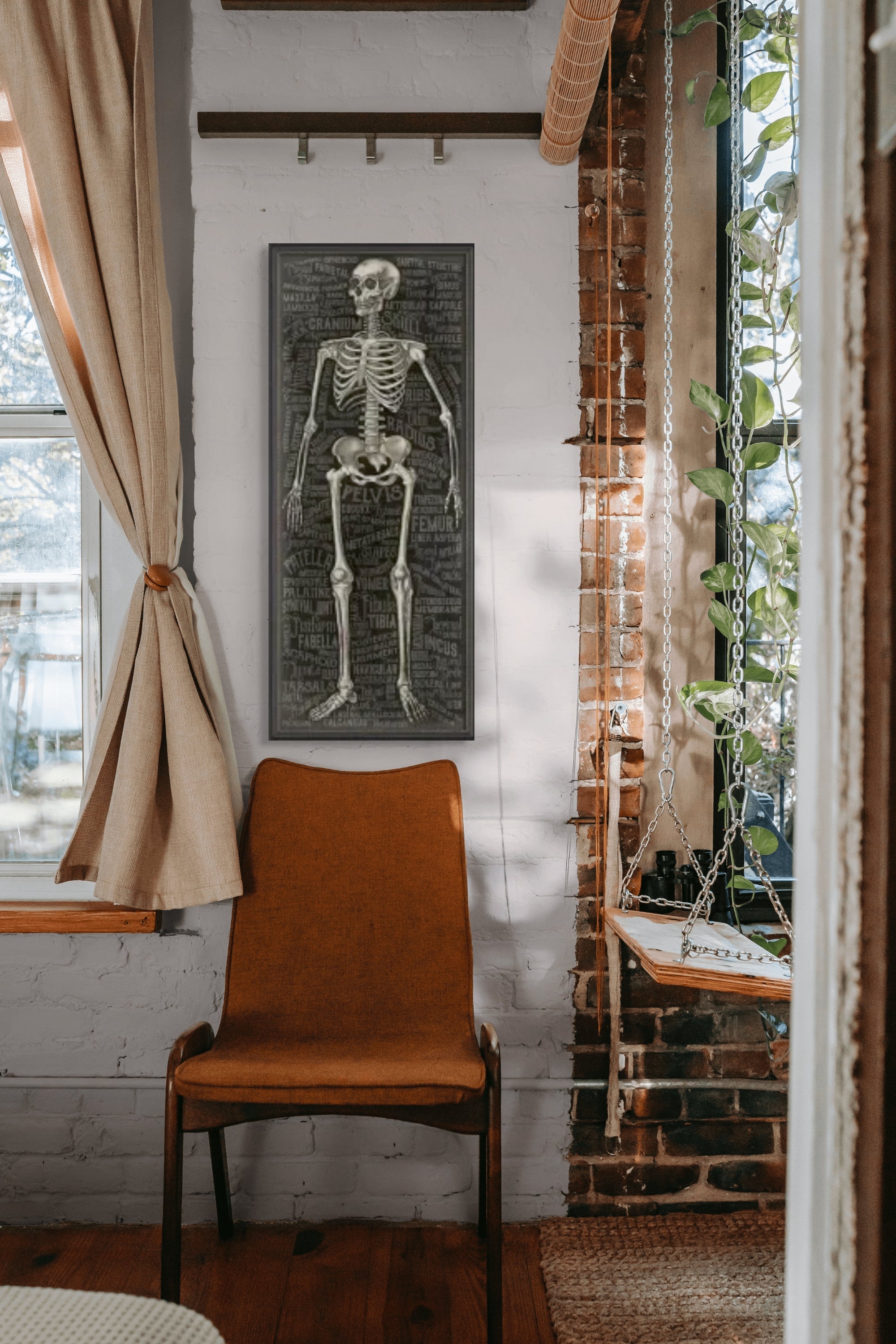 Anatomy Art Series