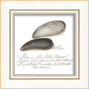 Signed, and Scripted Seashell Art Pieces 1-12