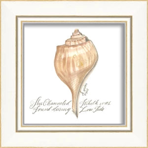 Signed, and Scripted Seashell Art Pieces 1-12