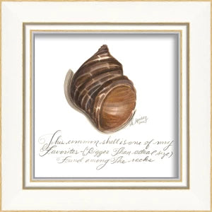 Signed, and Scripted Seashell Art Pieces 1-12