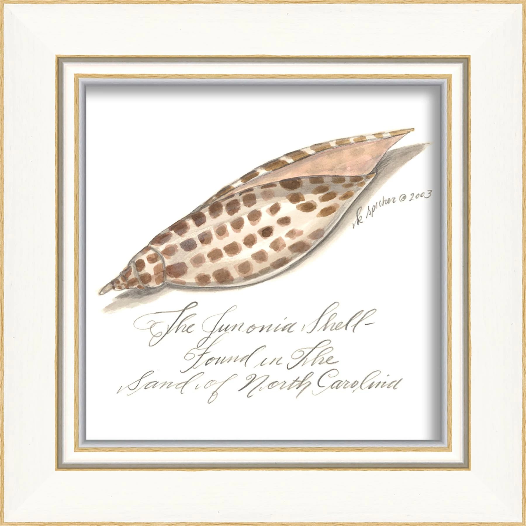 Signed, and Scripted Seashell Art Pieces 1-12