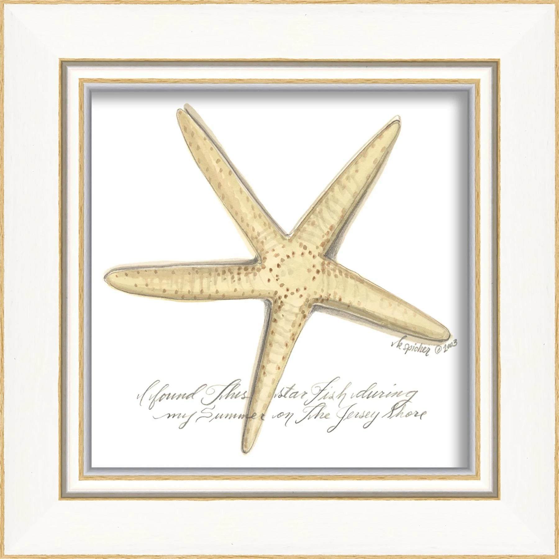 Signed, and Scripted Seashell Art Pieces 1-12