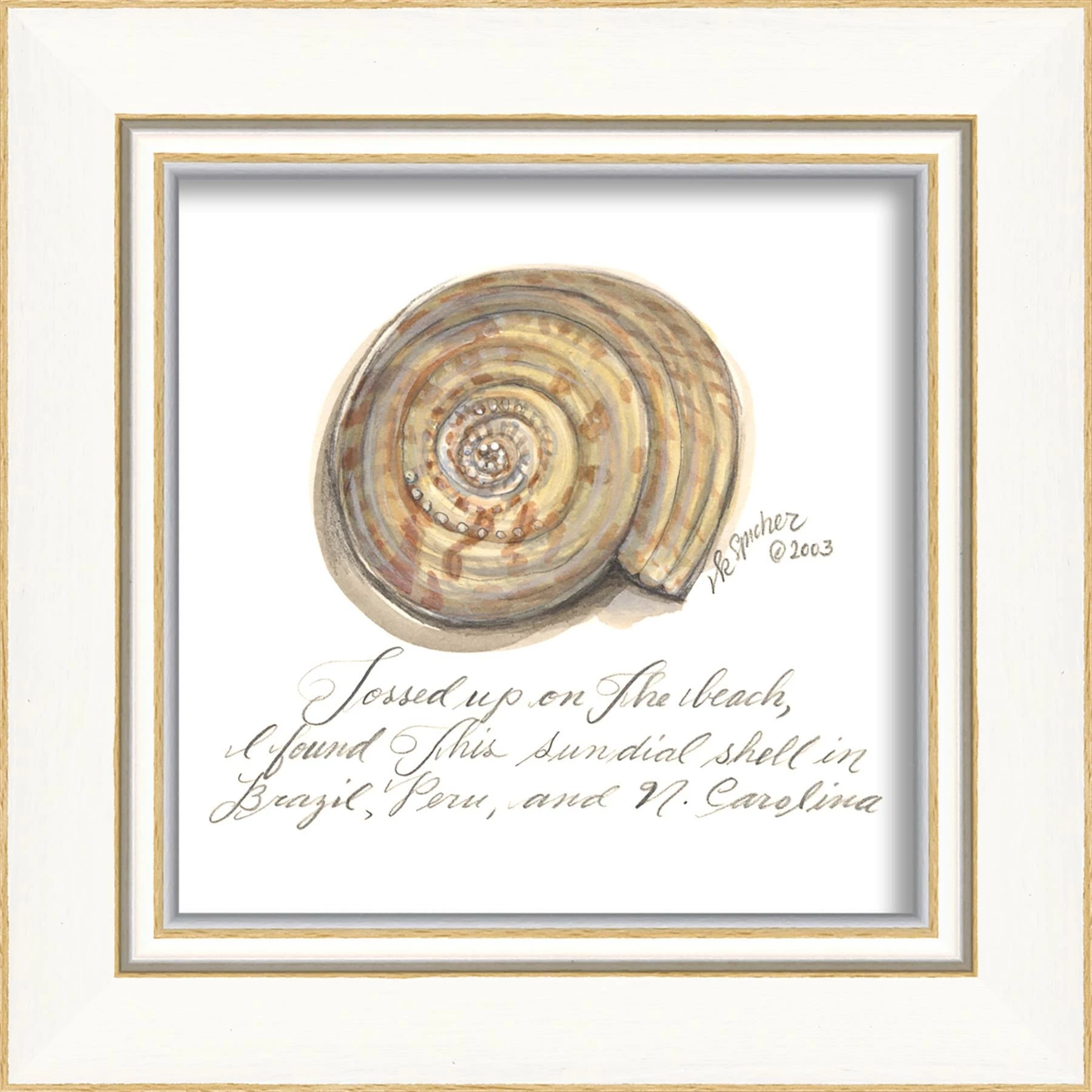 Signed, and Scripted Seashell Art Pieces 1-12