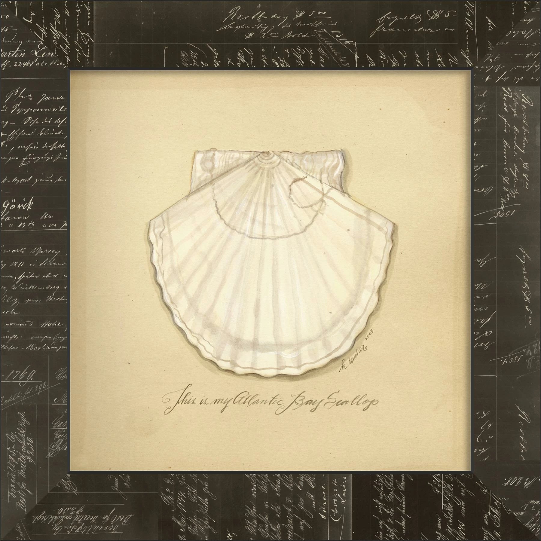 Atlantic Bay Scallop Art by Kolene Spicher | Mindful Coastal Wall Decor