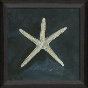 Colección de arte de conchas firmadas