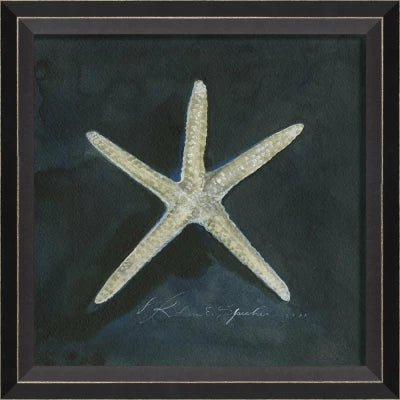 Starfish Art by Kolene Spicher