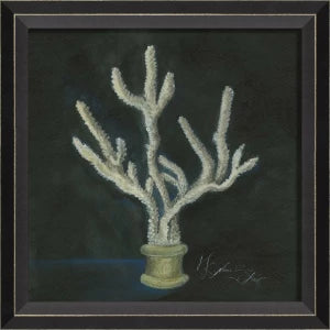 Colección de arte de conchas firmadas