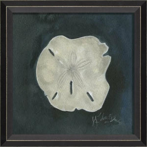 Colección de arte de conchas firmadas