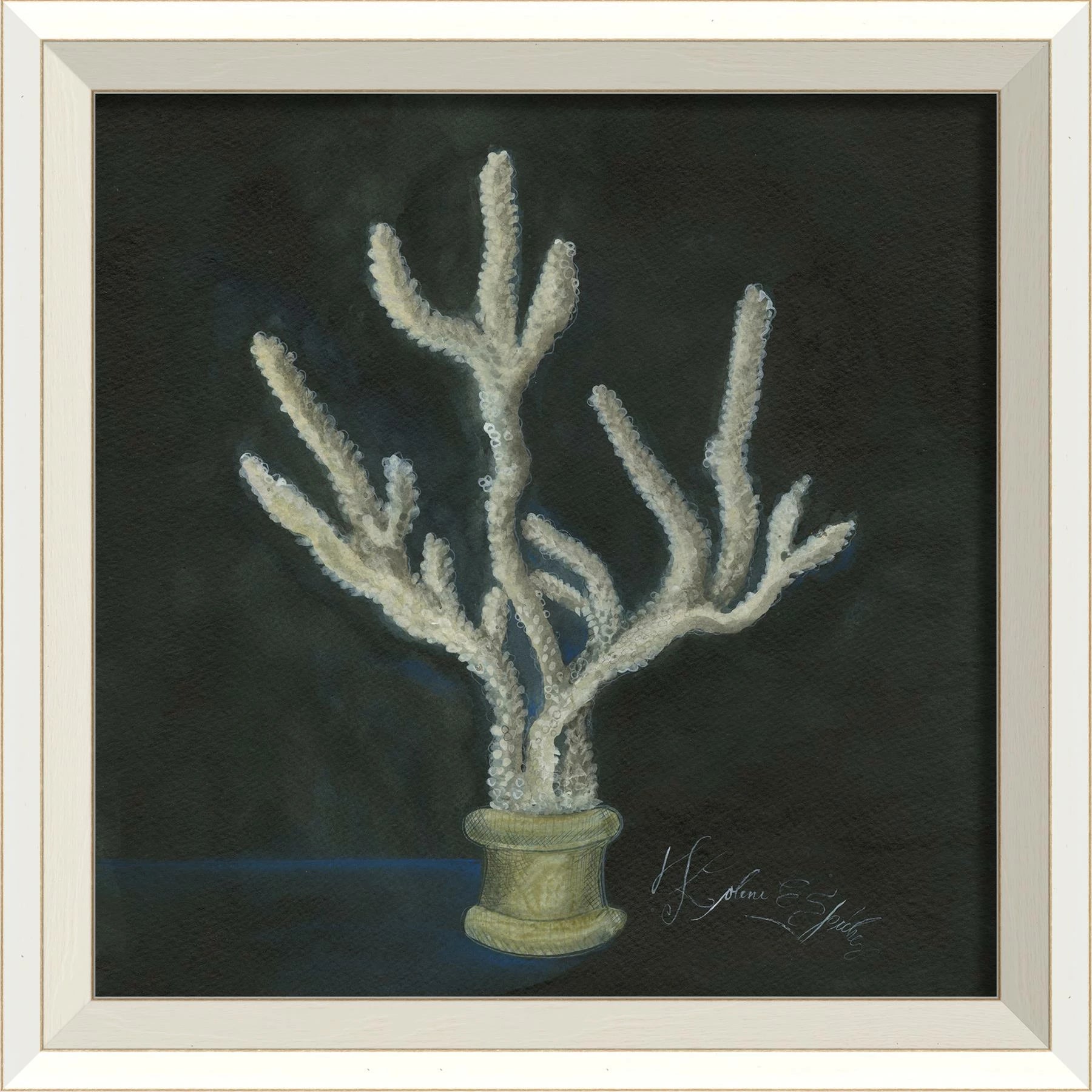 Colección de arte de conchas firmadas