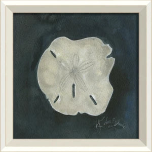 Colección de arte de conchas firmadas