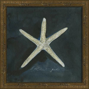 Colección de arte de conchas firmadas