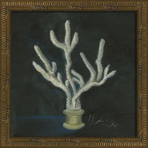 Colección de arte de conchas firmadas