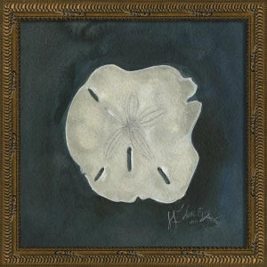 Colección de arte de conchas firmadas