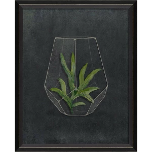 Terrarium Night Art Series