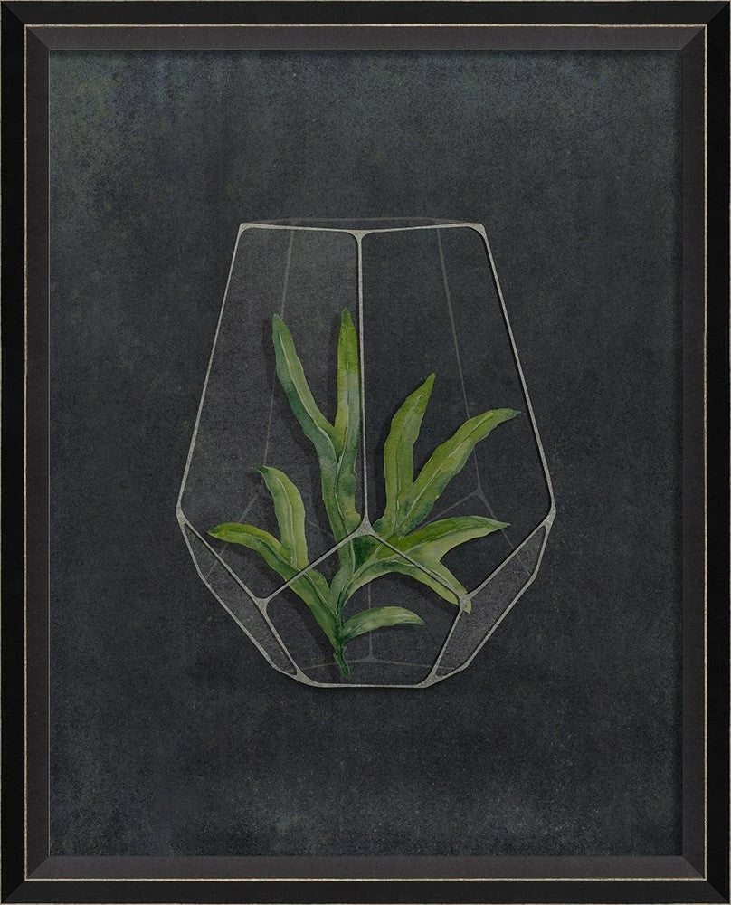 Terrarium Night Art Series