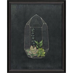 Terrarium Night Art Series