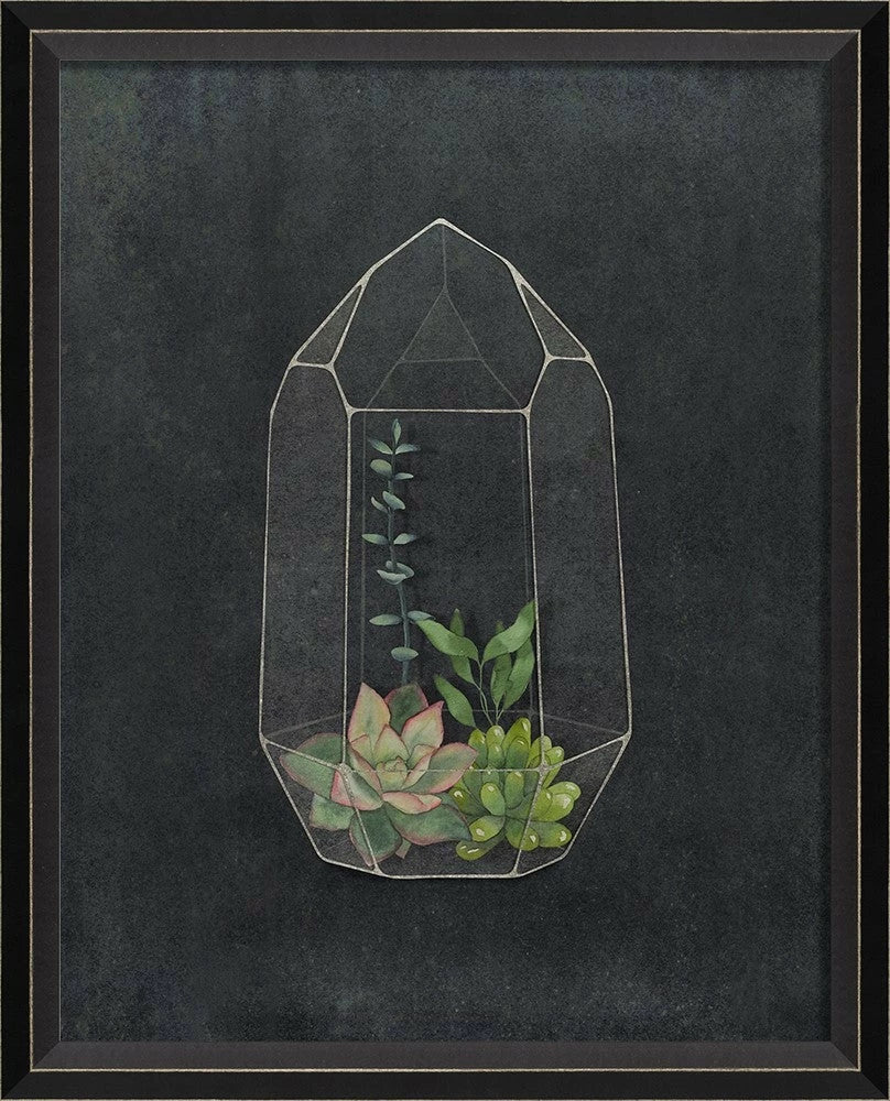 Terrarium Night Art Series