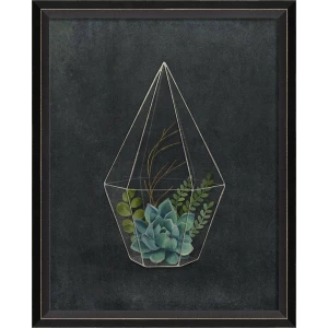 Terrarium Night Art Series