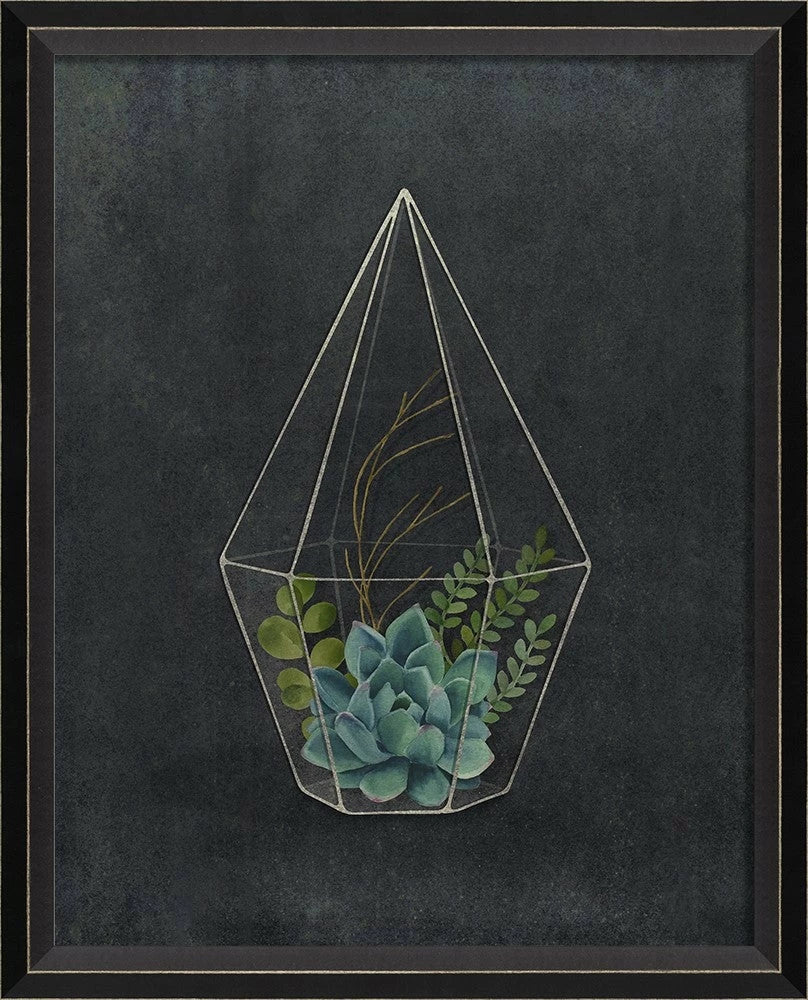Terrarium Night Art Series