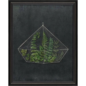 Terrarium Night Art Series