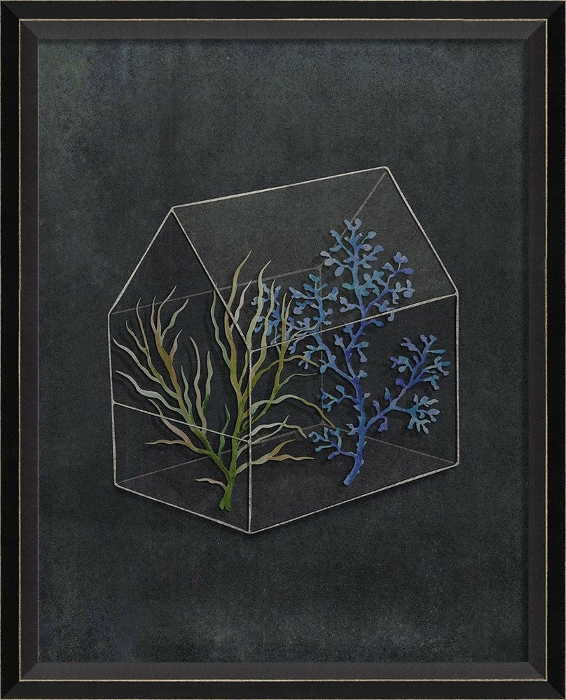 Terrarium Night Art Series
