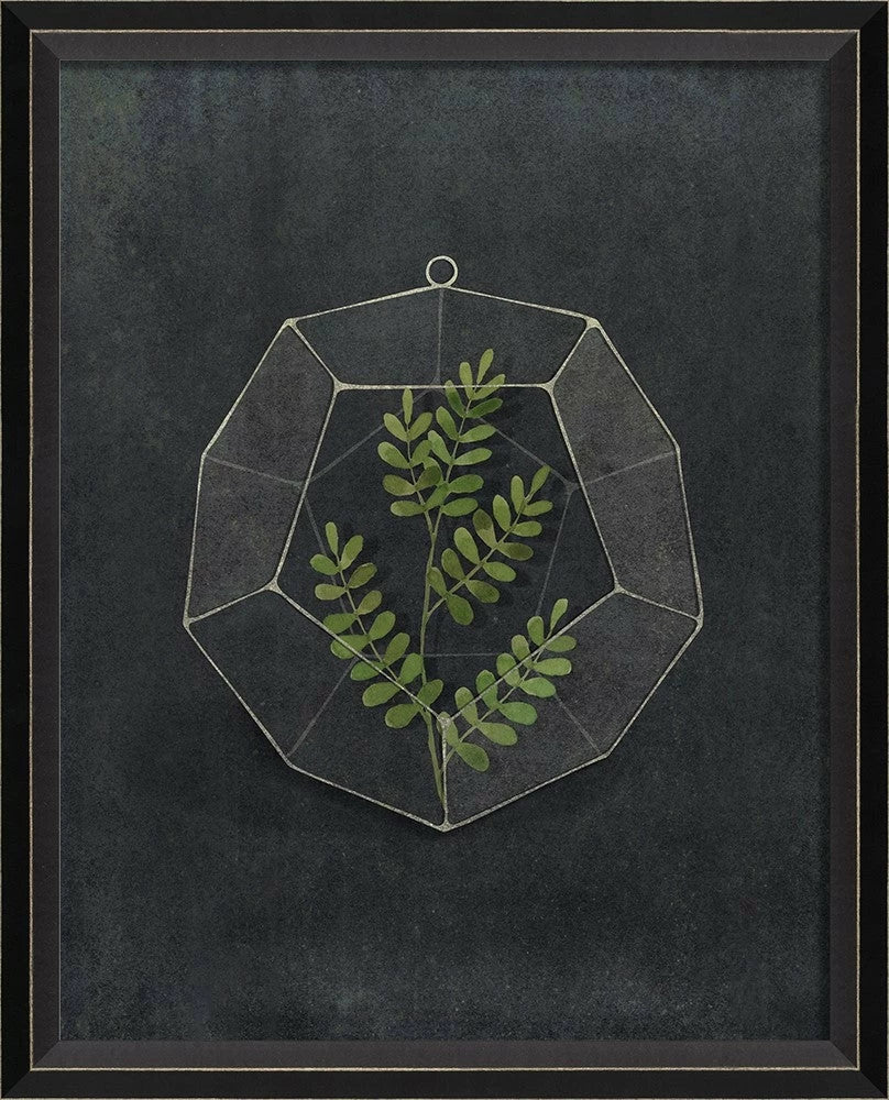 Terrarium Night Art Series