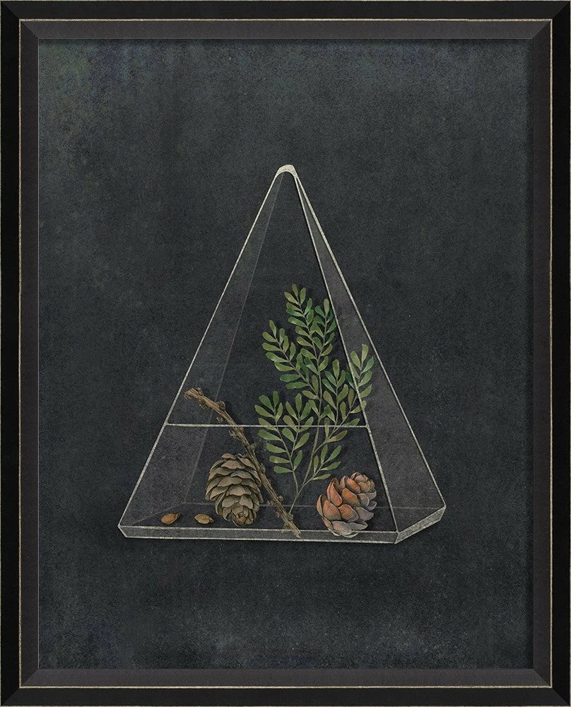 Terrarium Night Art Series