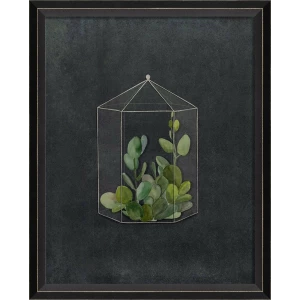 Terrarium Night Art Series