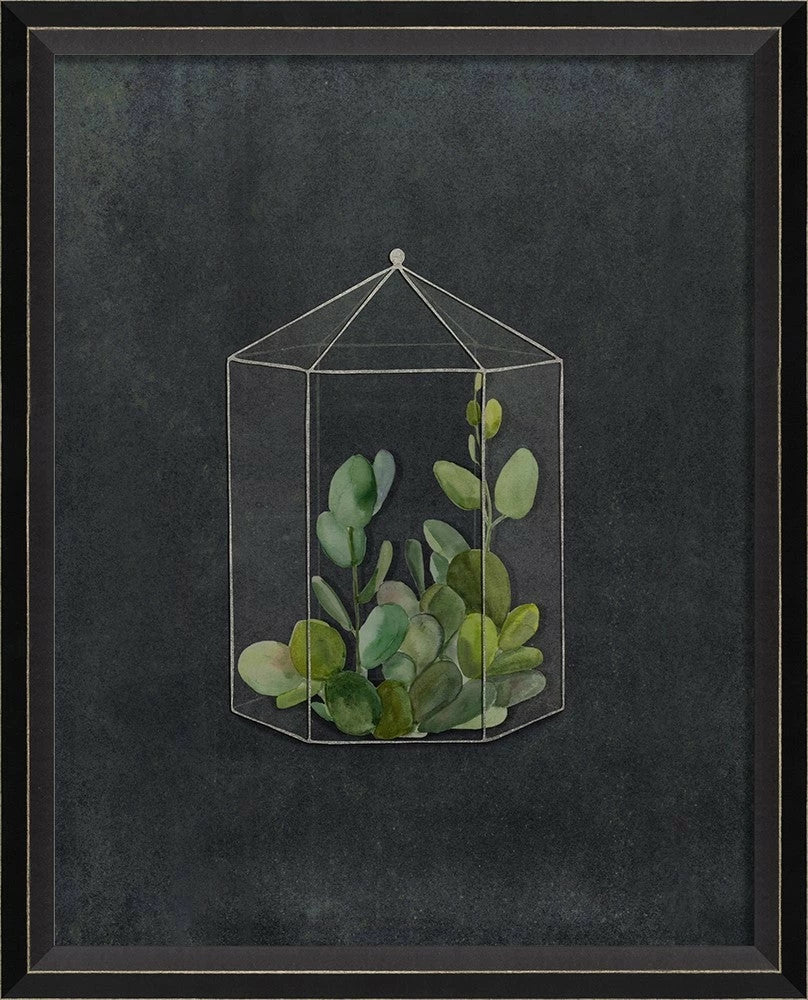 Terrarium Night Art Series