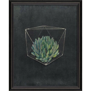 Terrarium Night Art Series