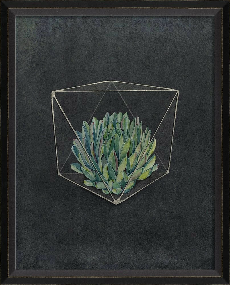 Terrarium Night Art Series