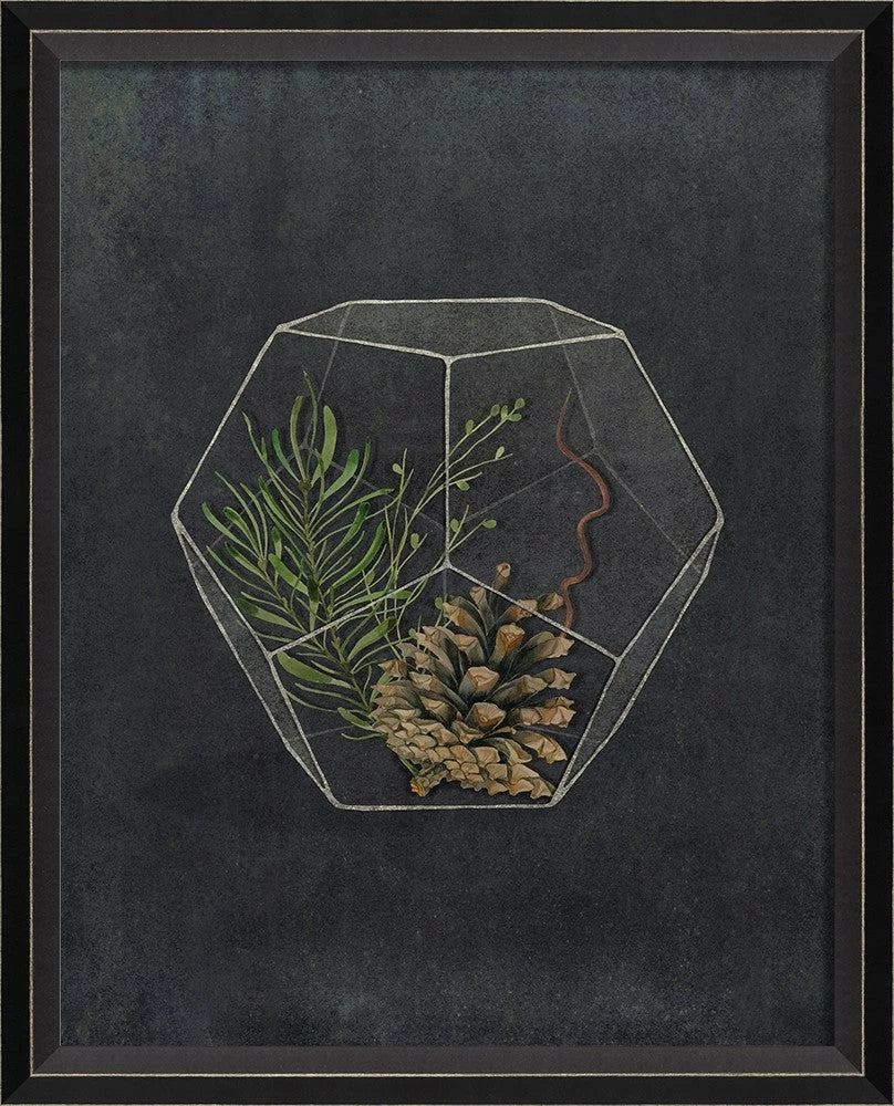 Terrarium Night Art Series