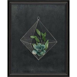 Terrarium Night Art Series