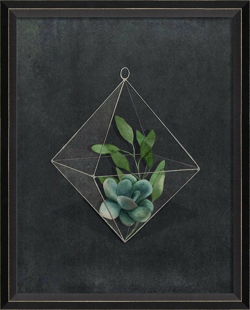 Terrarium Night Art Series