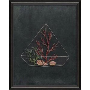 Terrarium Night Art Series
