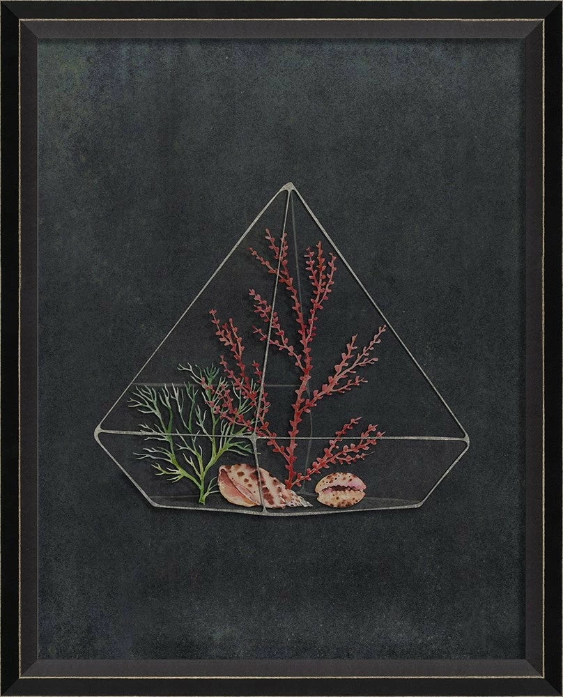 Terrarium Night Art Series