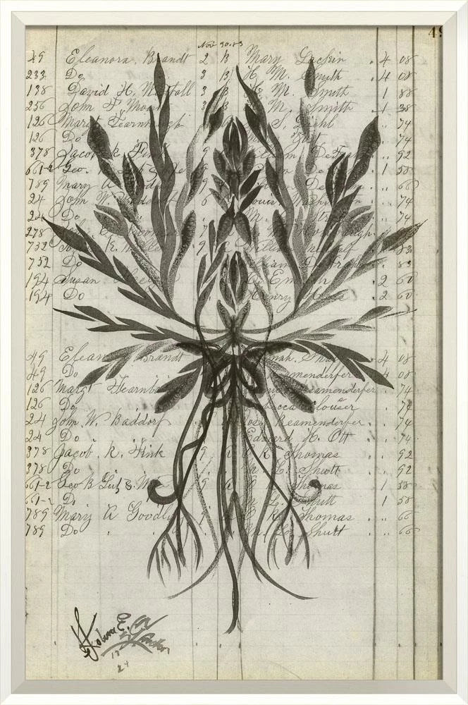 Exclusive Signed Floral Market Art Collection by Koleen Spicher