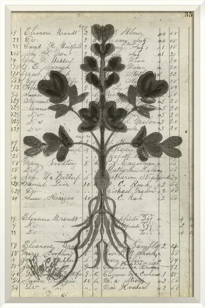 Exclusive Signed Floral Market Art Collection by Koleen Spicher