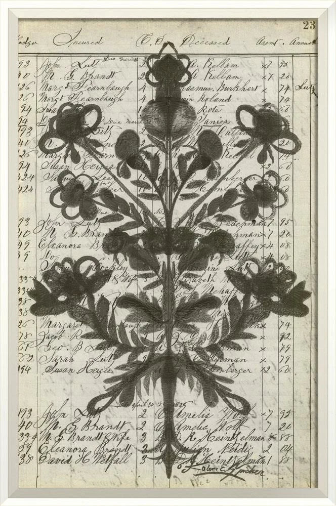 Exclusive Signed Floral Market Art Collection by Koleen Spicher