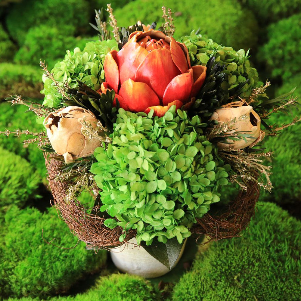 Interior Mojo's Preserved Botanical's Collection with trees, plants and florals. Zero Maintenance Long Lasting indoor plants & flowers