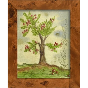 Signed, Tree Species Art Collection