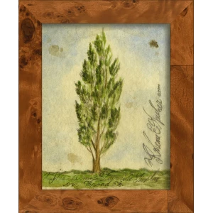 Signed, Tree Species Art Collection