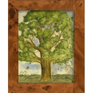 Signed, Tree Species Art Collection