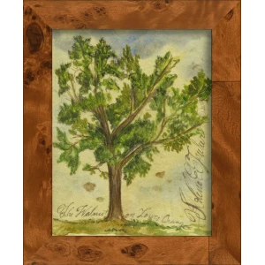 Signed, Tree Species Art Collection