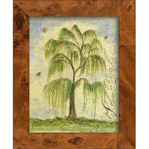 Signed, Tree Species Art Collection