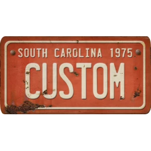 Custom Acrylic License Plate Art
