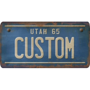 Custom Acrylic License Plate Art