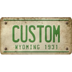 Custom Acrylic License Plate Art