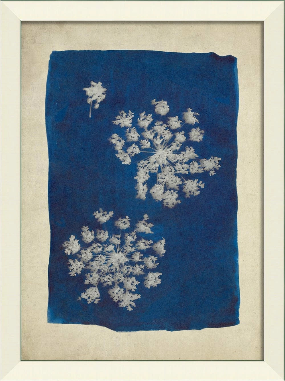 Plants on Blue Art Series